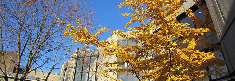 DÉPARTEMENT DES ENSEIGNEMENTS TRANSVERSES